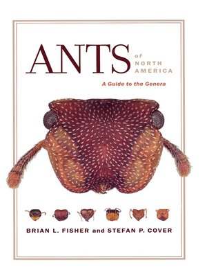 cover image of Ants of North America